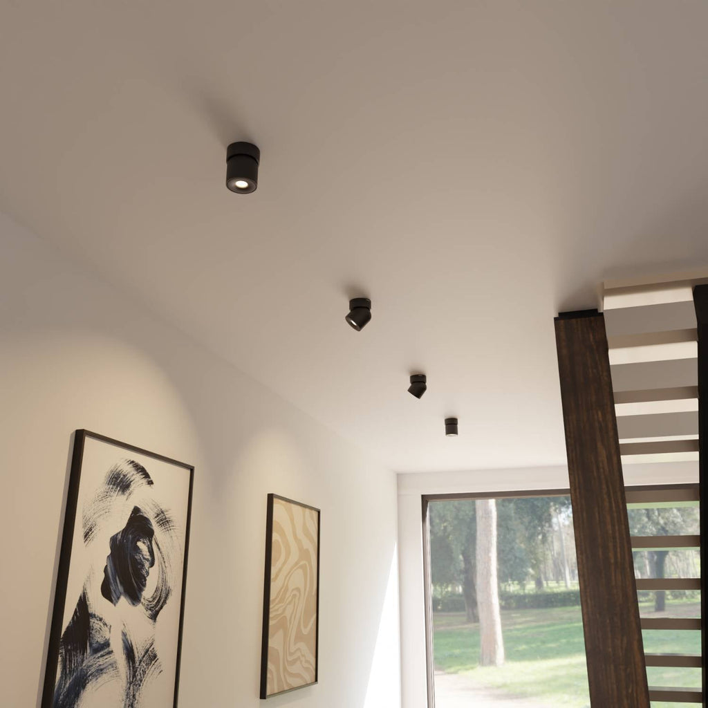 Ceiling Lamp With Flexible Head Rotation And 2700K Warm Glow