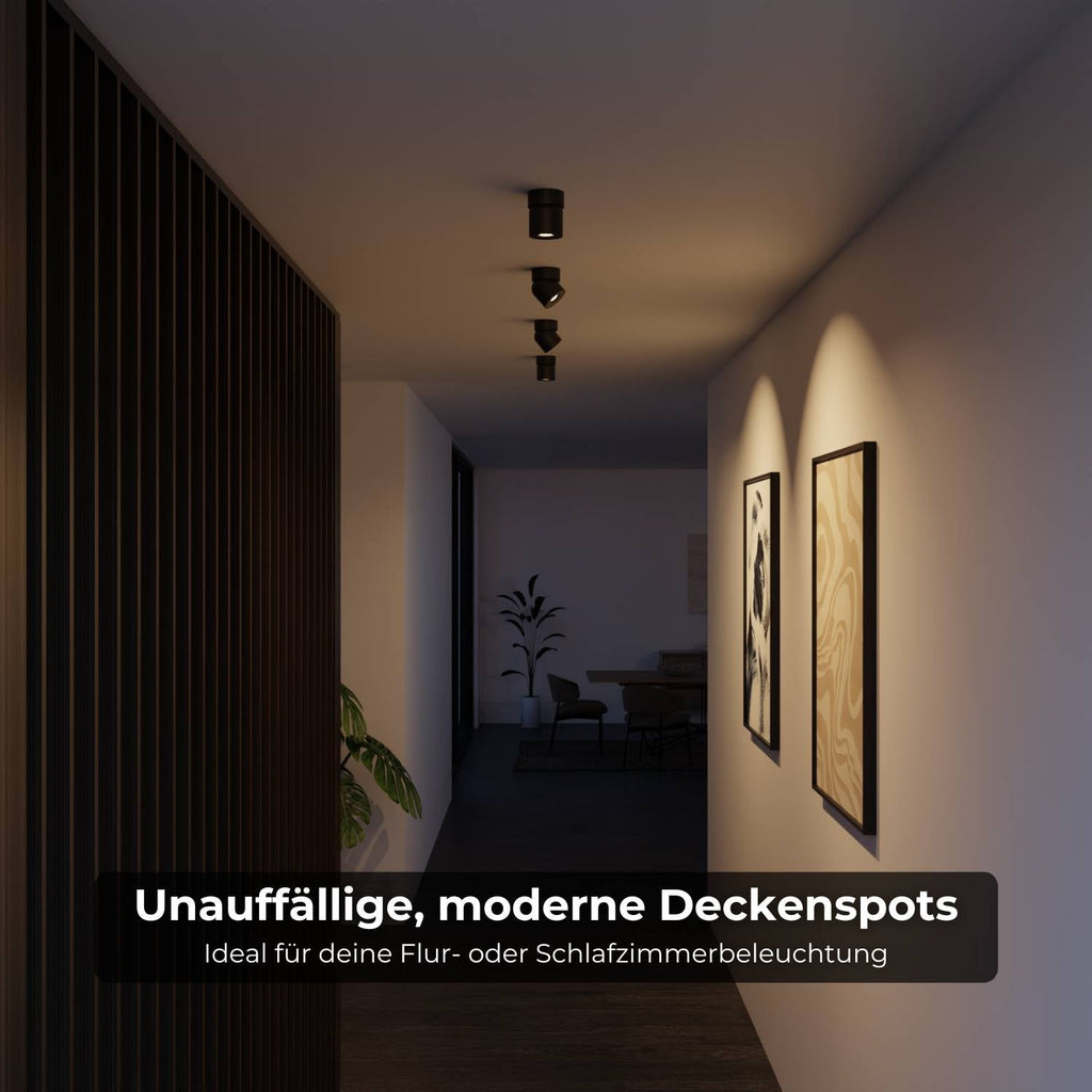 Ceiling Lamp With Flexible Head Rotation And 2700K Warm Glow