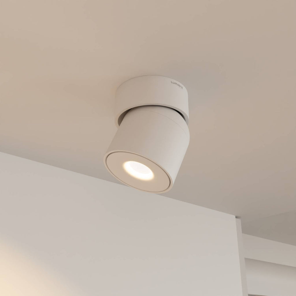 Ceiling Lamp With Flexible Head Rotation And 2700K Warm Glow