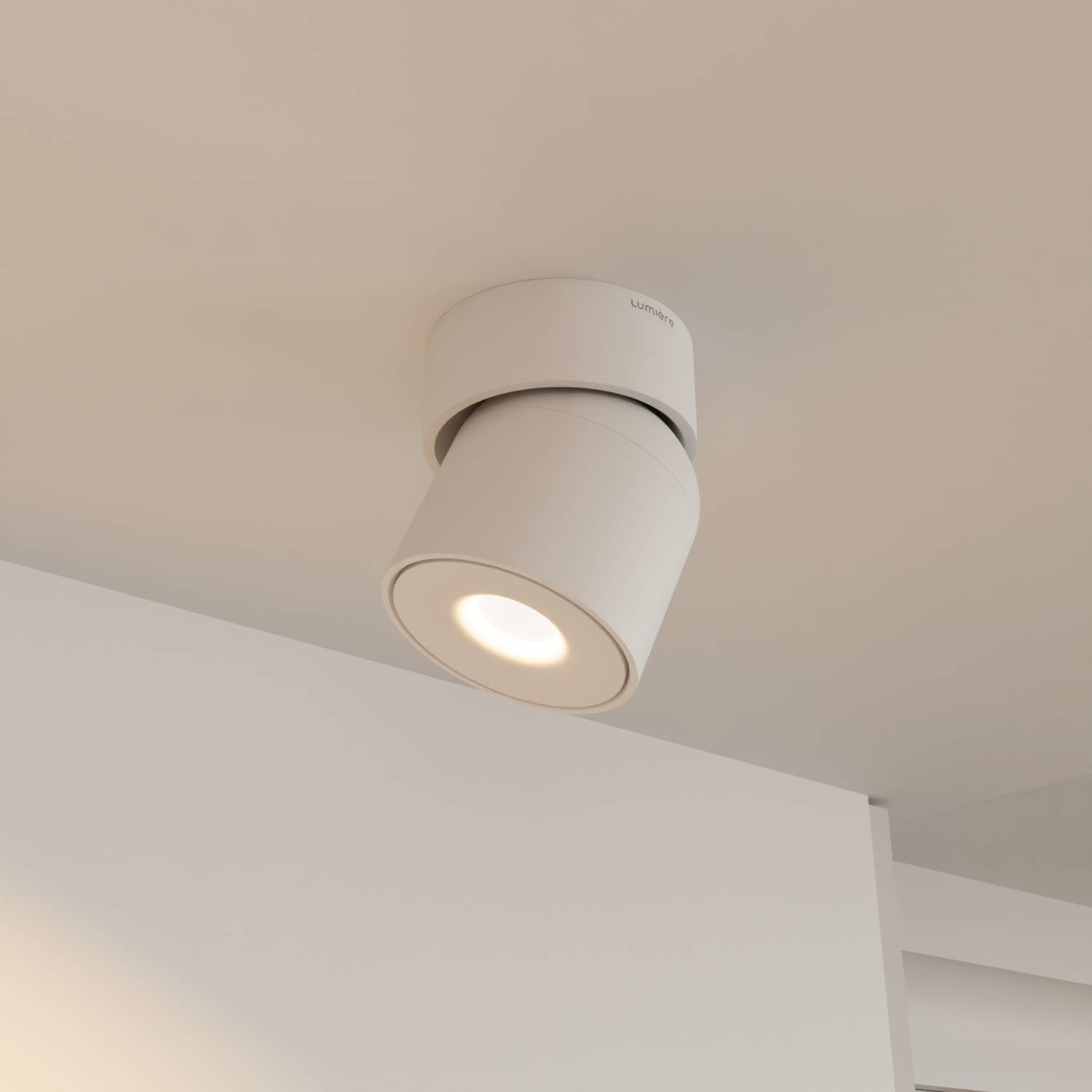 Ceiling Lamp With Flexible Head Rotation And 2700K Warm Glow