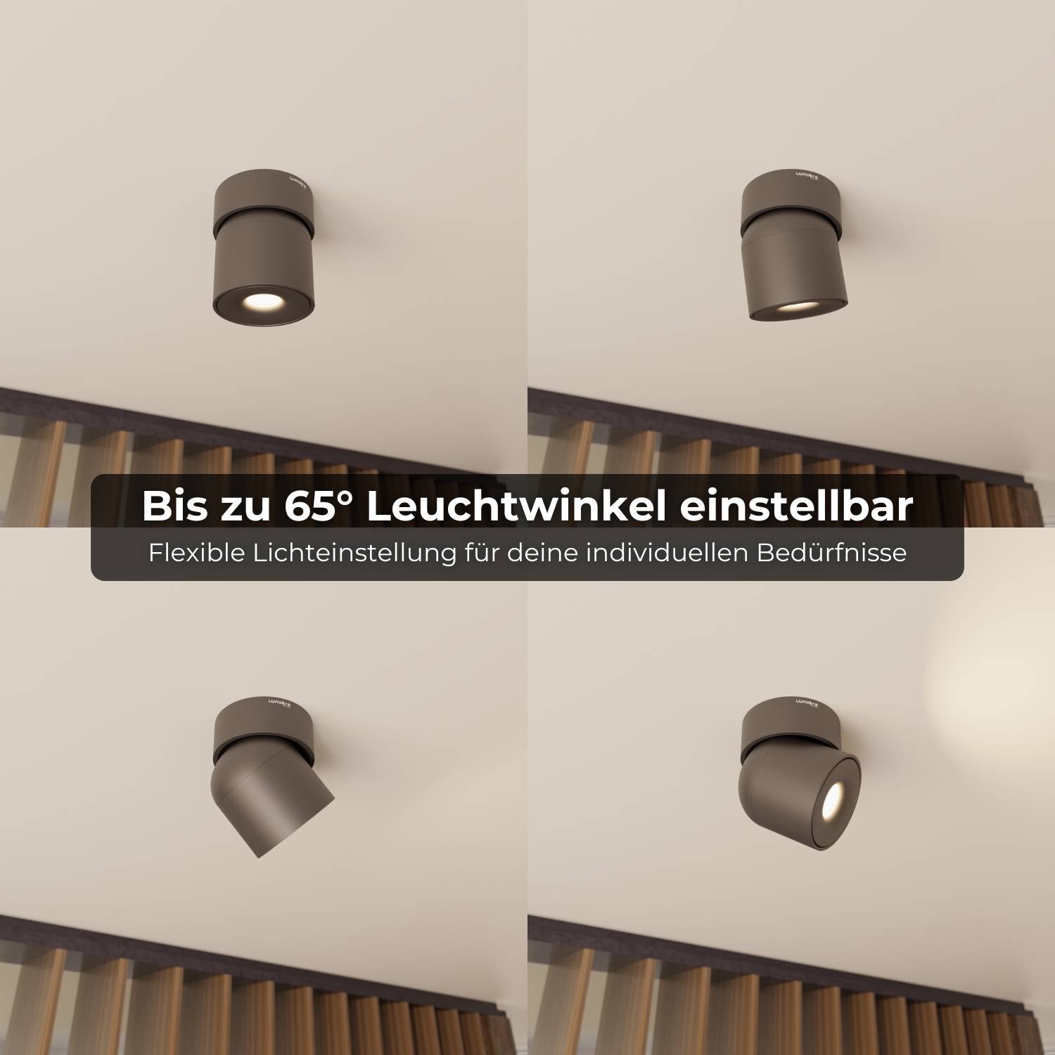 Ceiling Lamp With Flexible Head Rotation And 2700K Warm Glow