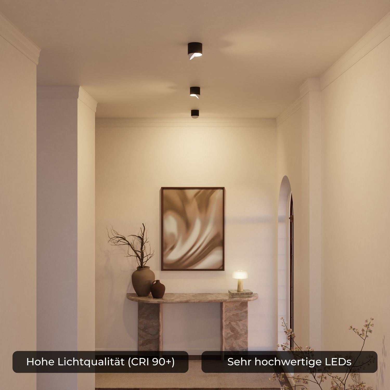 Adjustable LED Ceiling Light With Warm 2700K For Hallways, Kitchens, And Living Rooms