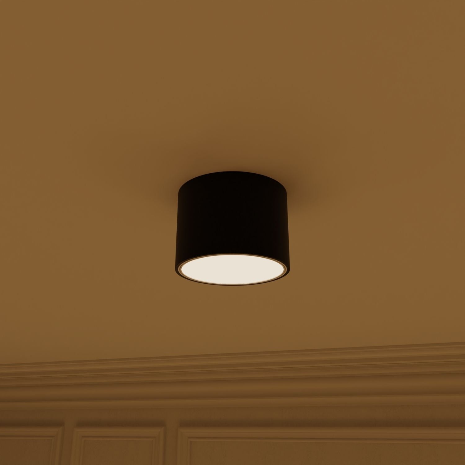 Adjustable LED Ceiling Light With Warm 2700K For Hallways, Kitchens, And Living Rooms
