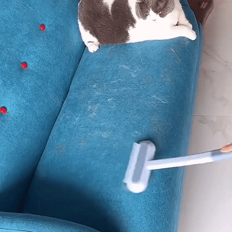 3v1 odstraňovač zvířecích chlupů - Petclean Pro | Ka-mostore