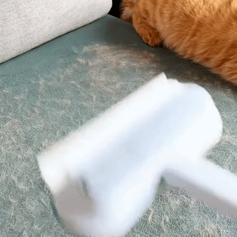 3v1 odstraňovač zvířecích chlupů - Petclean Pro | Ka-mostore