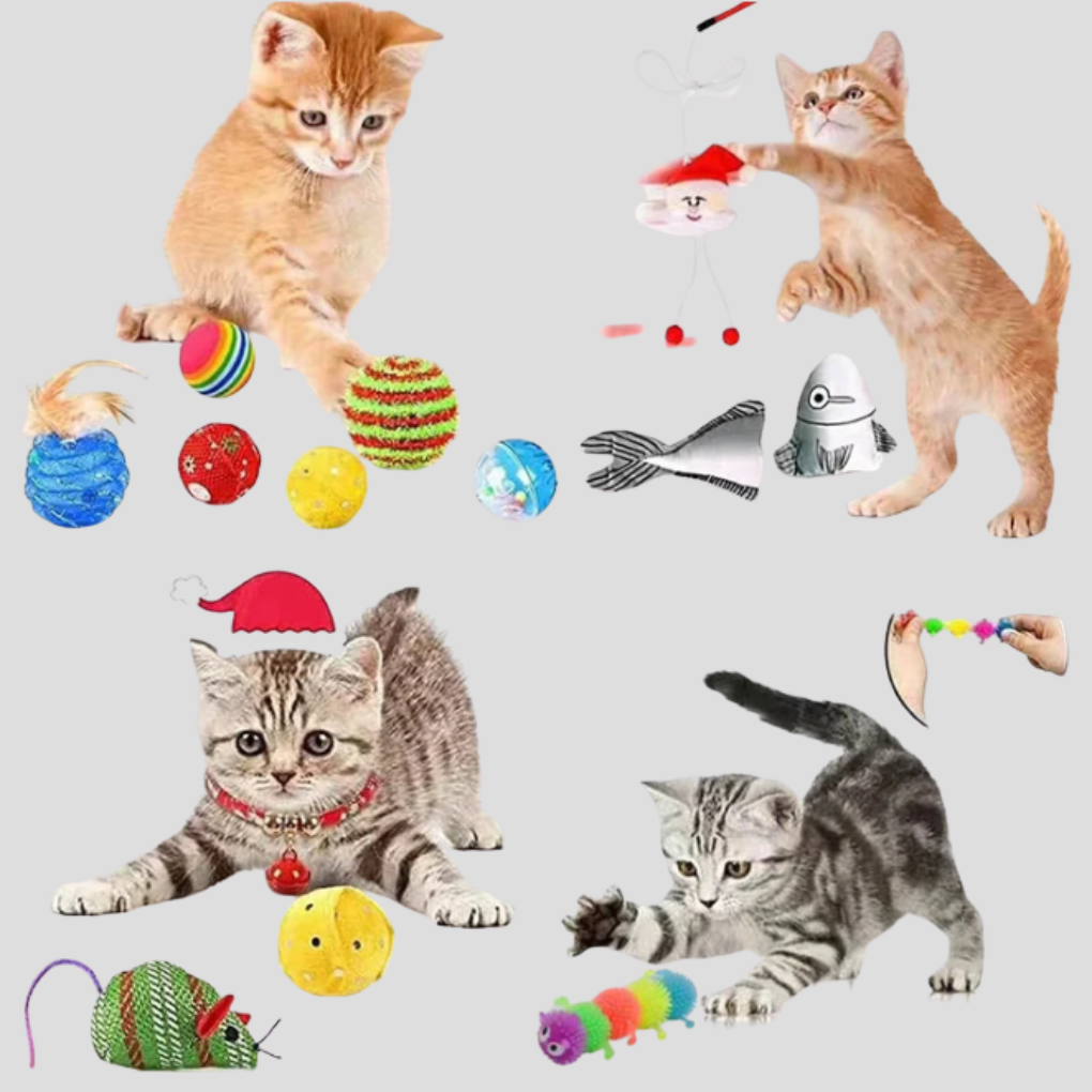 猫用アドベントカレンダー：24個の遊べるサプライズおもちゃ | Ka-mostore