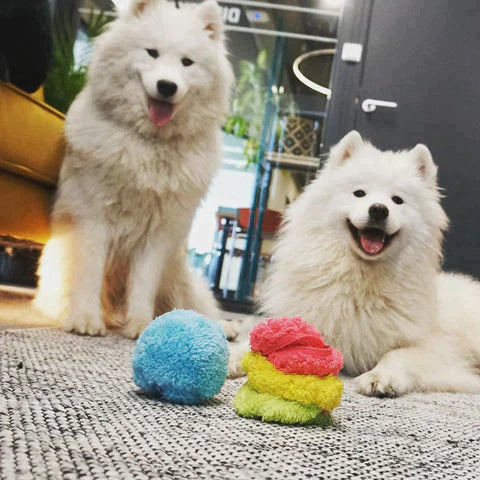 Interactive Dog Rolling Ball for Fun & Exercise | Ka-mostore