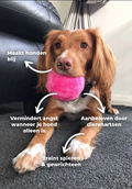 Interactive Dog Rolling Ball for Fun & Exercise | Ka-mostore
