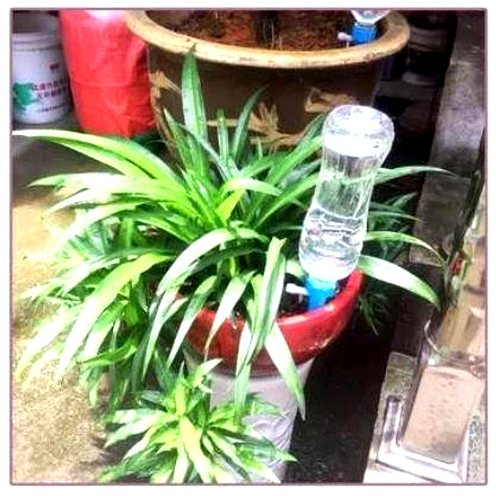 Self-Watering Plant Spikes - Adjustable Flow | Ka-mostore