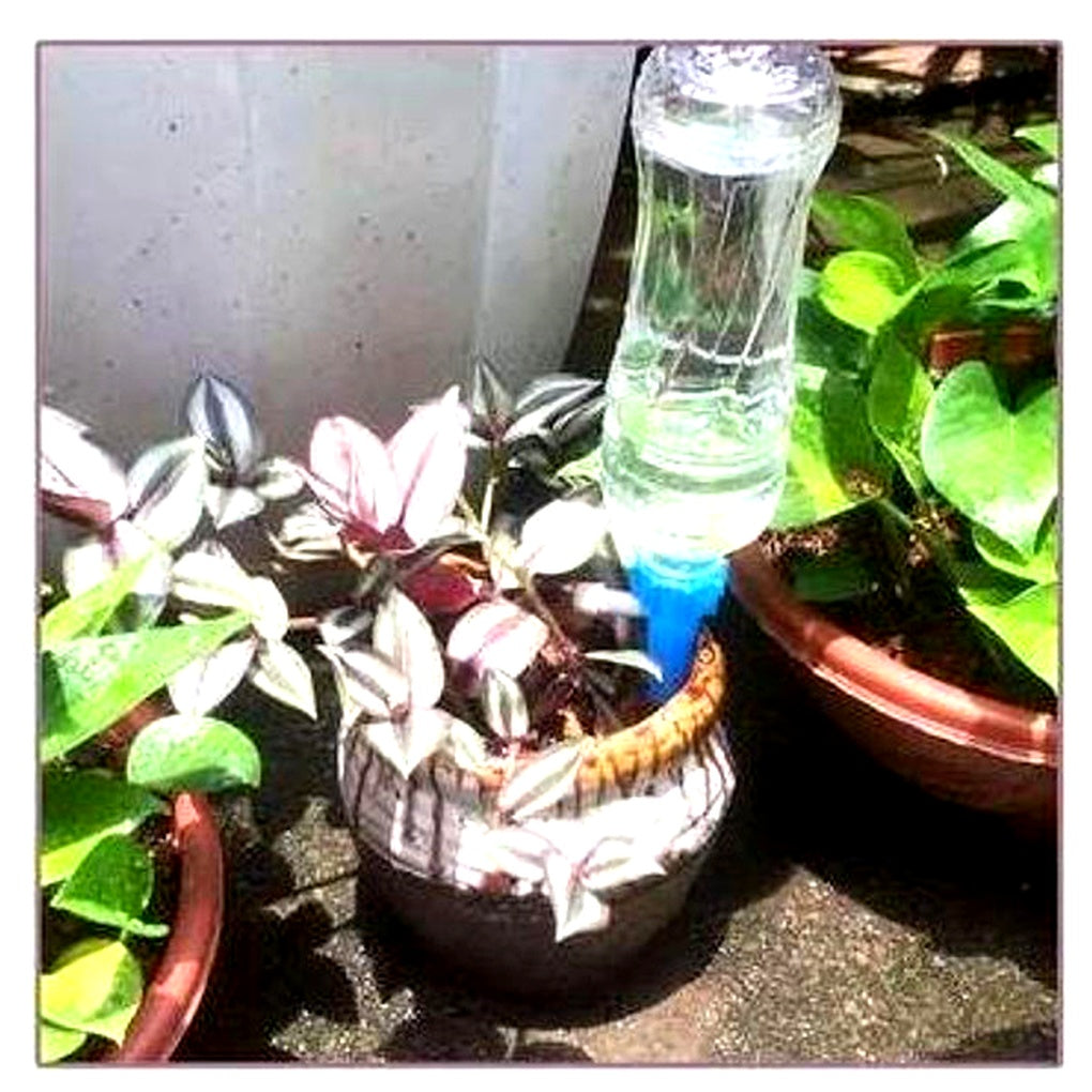 Self-Watering Plant Spikes - Adjustable Flow | Ka-mostore