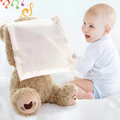 Baby Interactive Peek-A-Boo Teddy Bear Toy | Ka-mostore