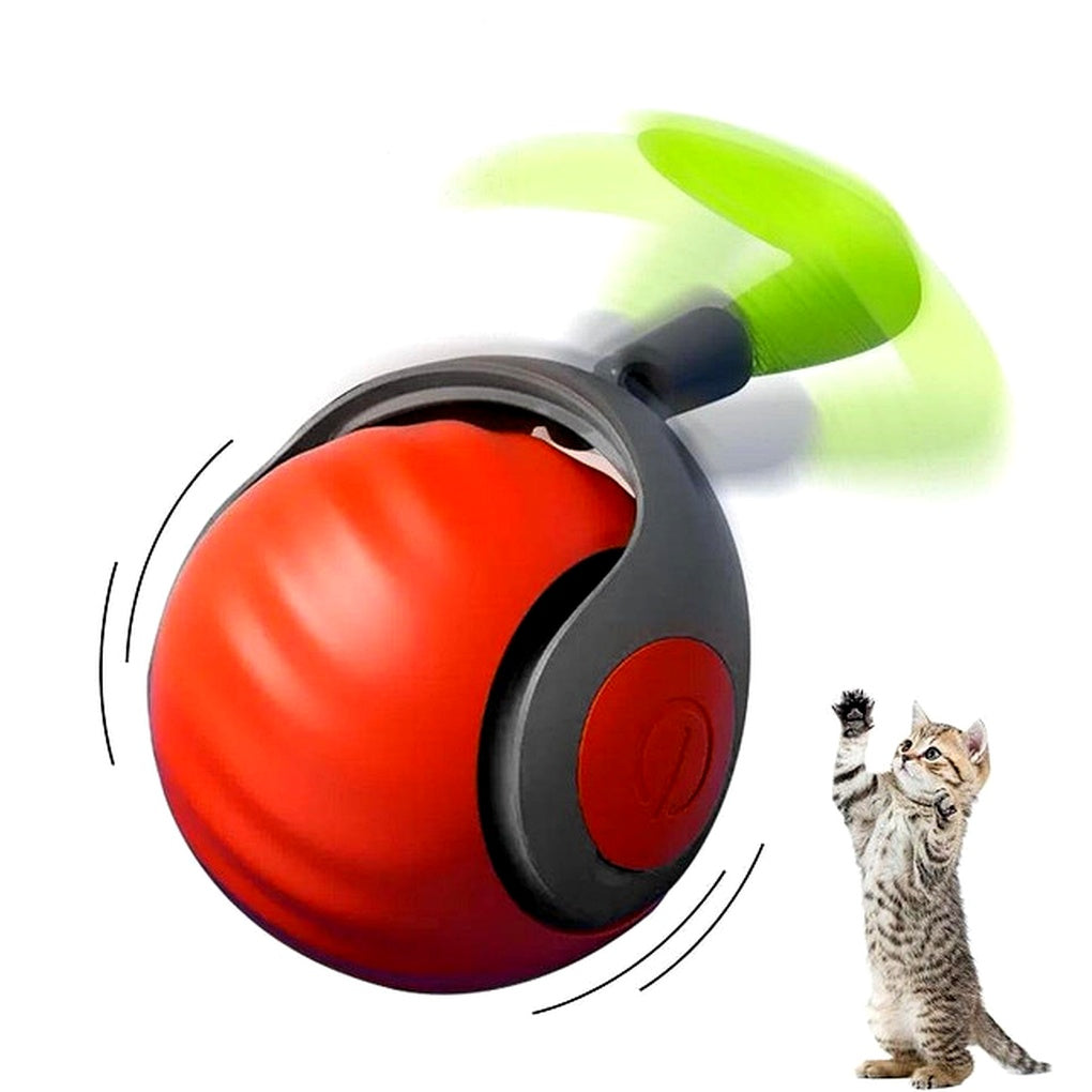 Balle jouet pour chat – Roulement automatique et jeu interactif | Ka-mostore