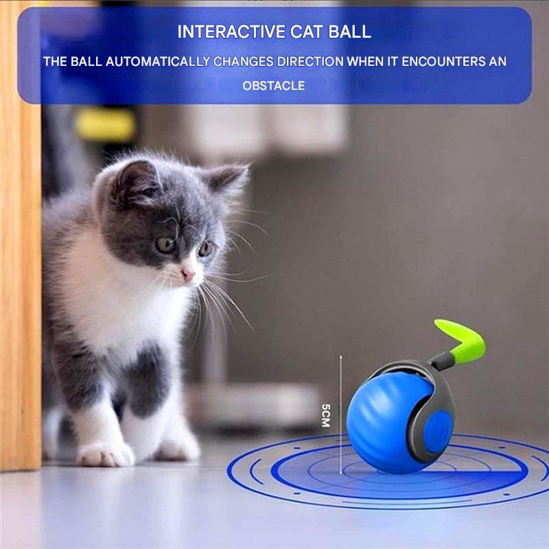 Balle jouet pour chat – Roulement automatique et jeu interactif | Ka-mostore