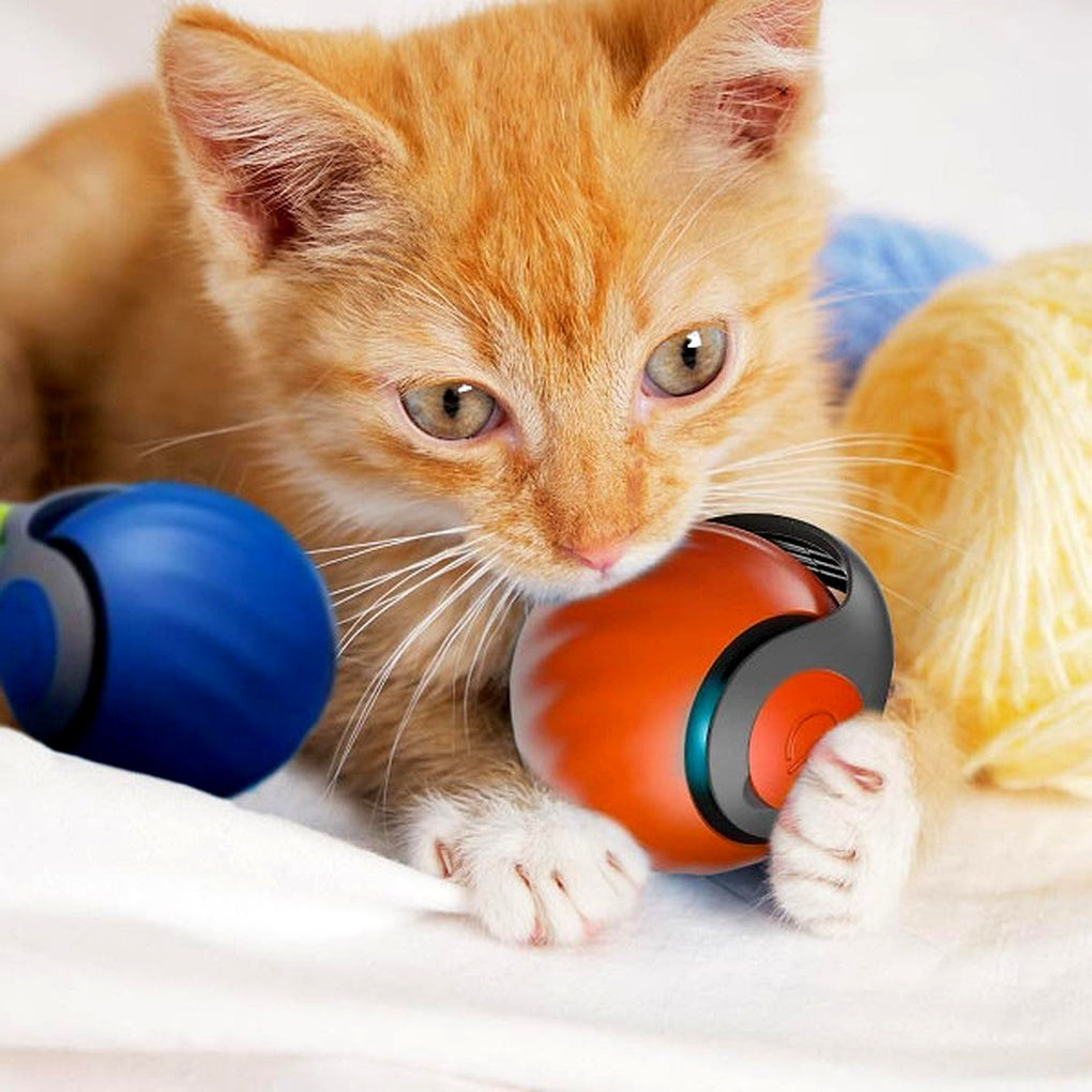 Balle jouet pour chat – Roulement automatique et jeu interactif | Ka-mostore