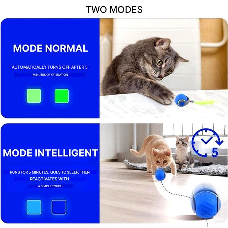 Balle jouet pour chat – Roulement automatique et jeu interactif | Ka-mostore