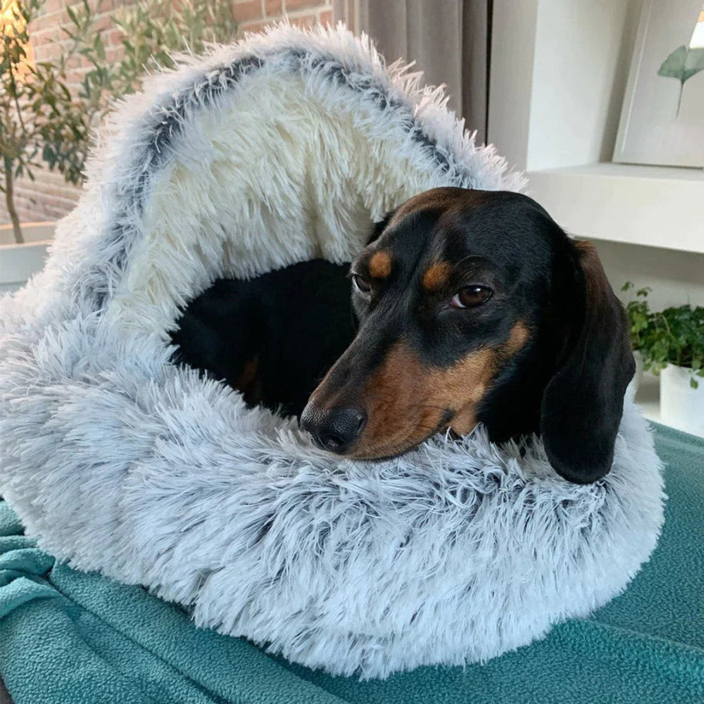 Cozy Cave Pet Bed | Calming and Comfortable Dog Bed for Deep Relaxation | Ka-mostore