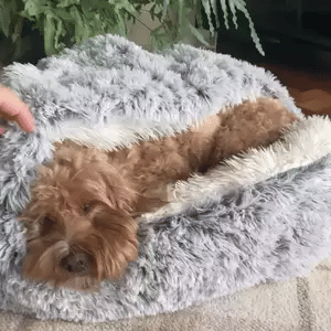 Cozy Cave Pet Bed | Calming and Comfortable Dog Bed for Deep Relaxation | Ka-mostore