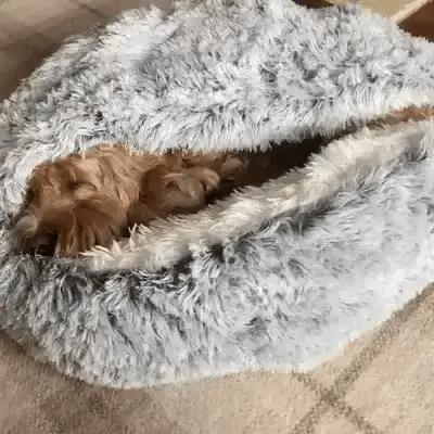 Cozy Cave Pet Bed | Calming and Comfortable Dog Bed for Deep Relaxation | Ka-mostore