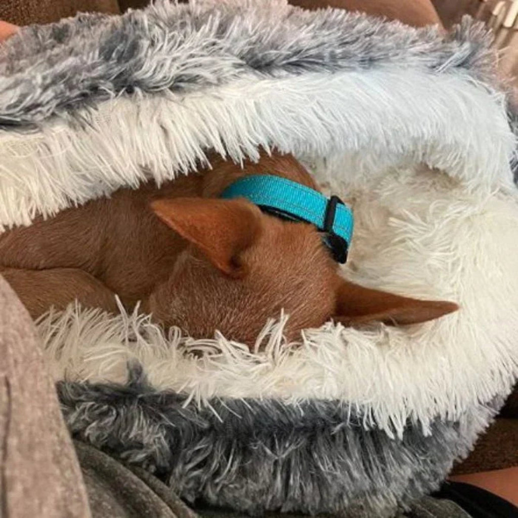 Cozy Cave Pet Bed | Calming and Comfortable Dog Bed for Deep Relaxation | Ka-mostore