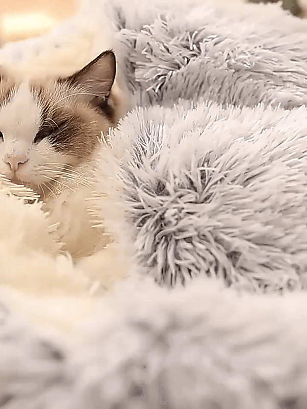 Cozy Cave Pet Bed | Calming and Comfortable Dog Bed for Deep Relaxation | Ka-mostore