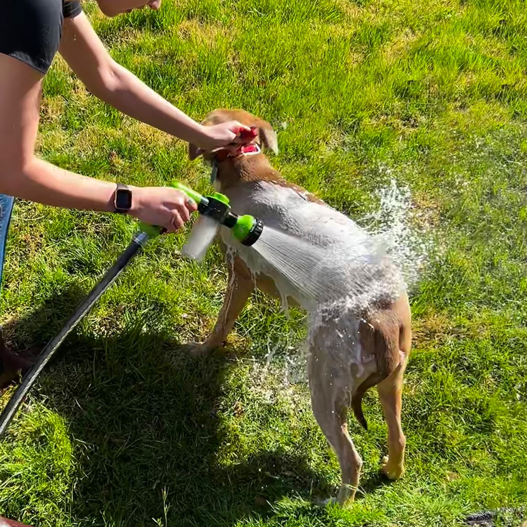 Hundebrusersprøjte – WashBuddy | Ka-mostore