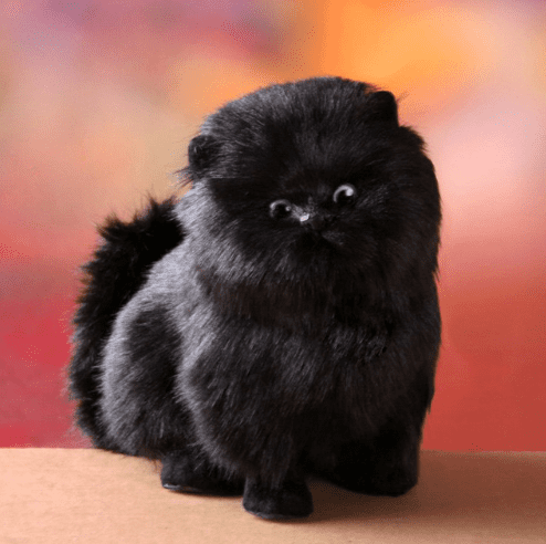 Enchanting, electric, interactive plush kitten | Ka-mostore