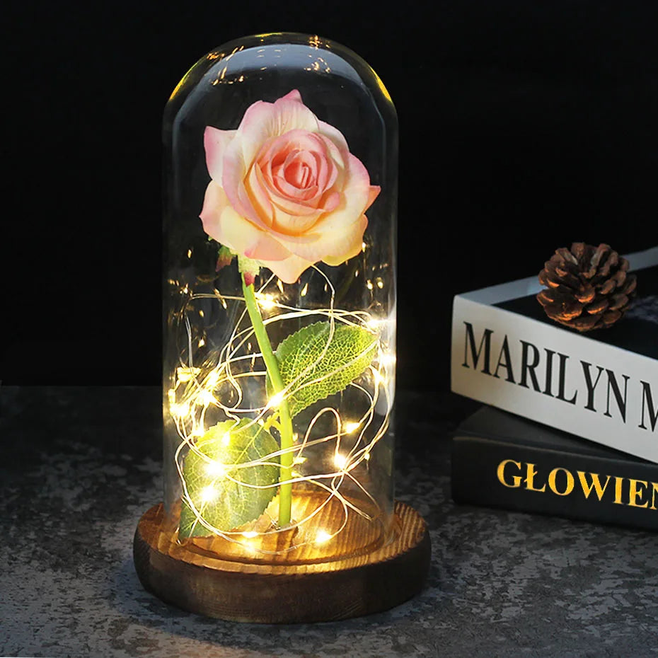 – Eternal Rose in Glass Dome with Atmospheric LED Lighting | Ka-mostore