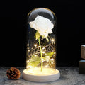 – Eternal Rose in Glass Dome with Atmospheric LED Lighting | Ka-mostore