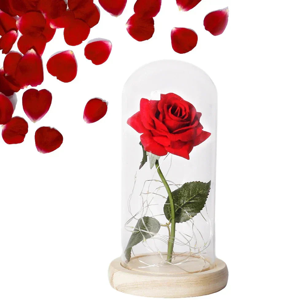 – Eternal Rose in Glass Dome with Atmospheric LED Lighting | Ka-mostore
