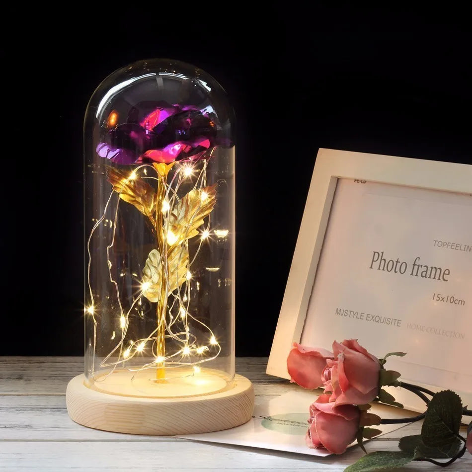 – Eternal Rose in Glass Dome with Atmospheric LED Lighting | Ka-mostore