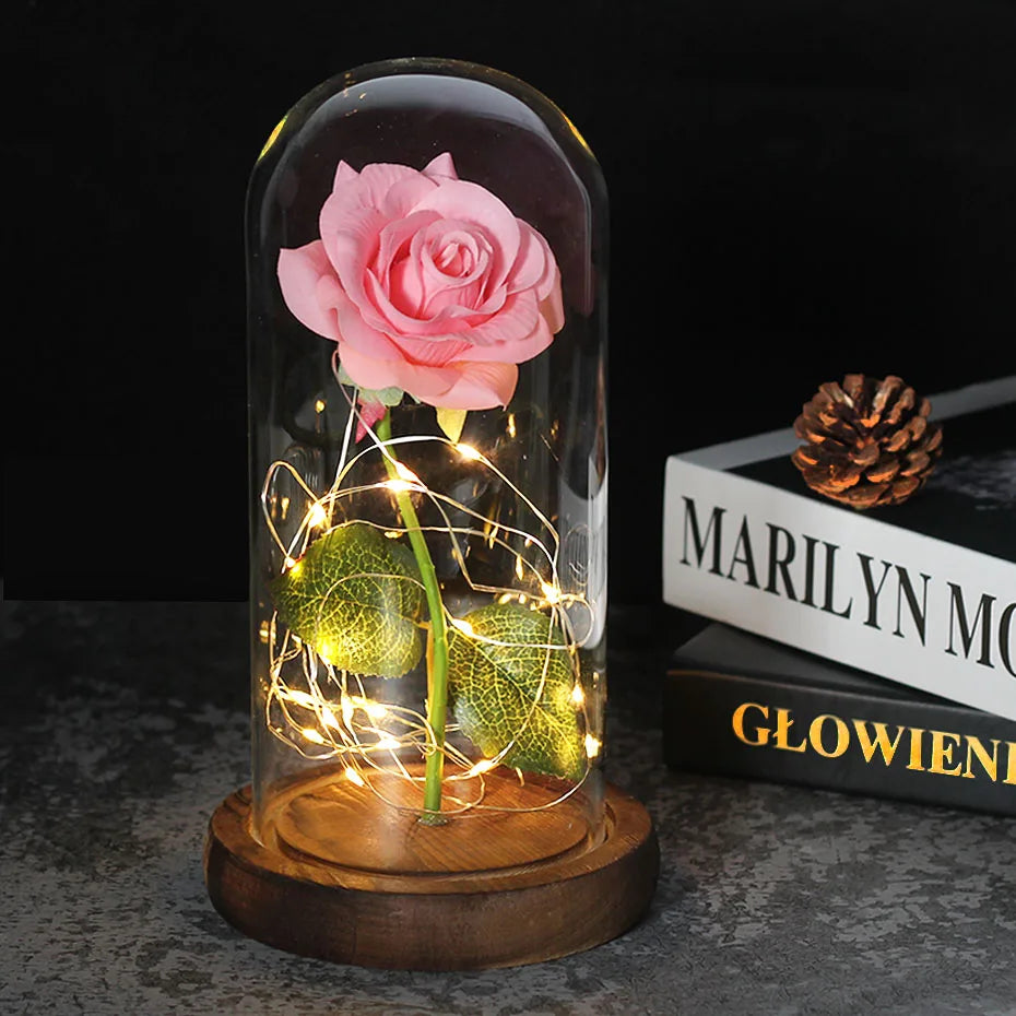 – Eternal Rose in Glass Dome with Atmospheric LED Lighting | Ka-mostore