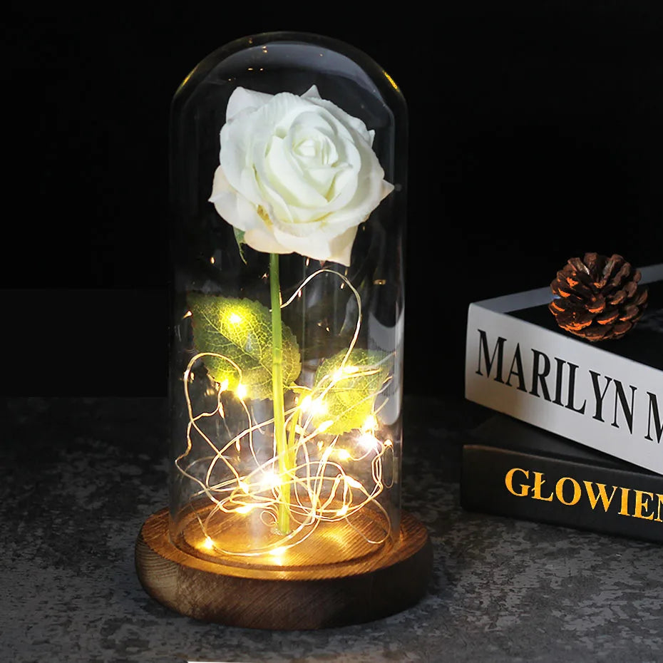 – Eternal Rose in Glass Dome with Atmospheric LED Lighting | Ka-mostore