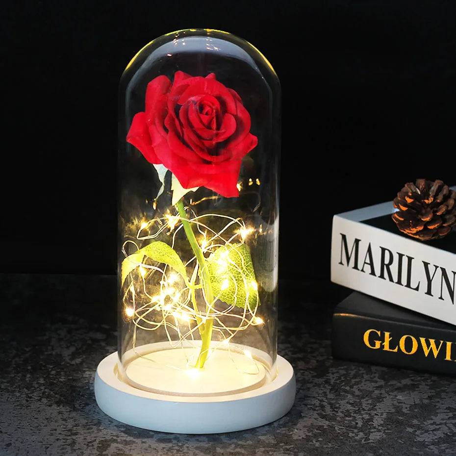 – Eternal Rose in Glass Dome with Atmospheric LED Lighting | Ka-mostore