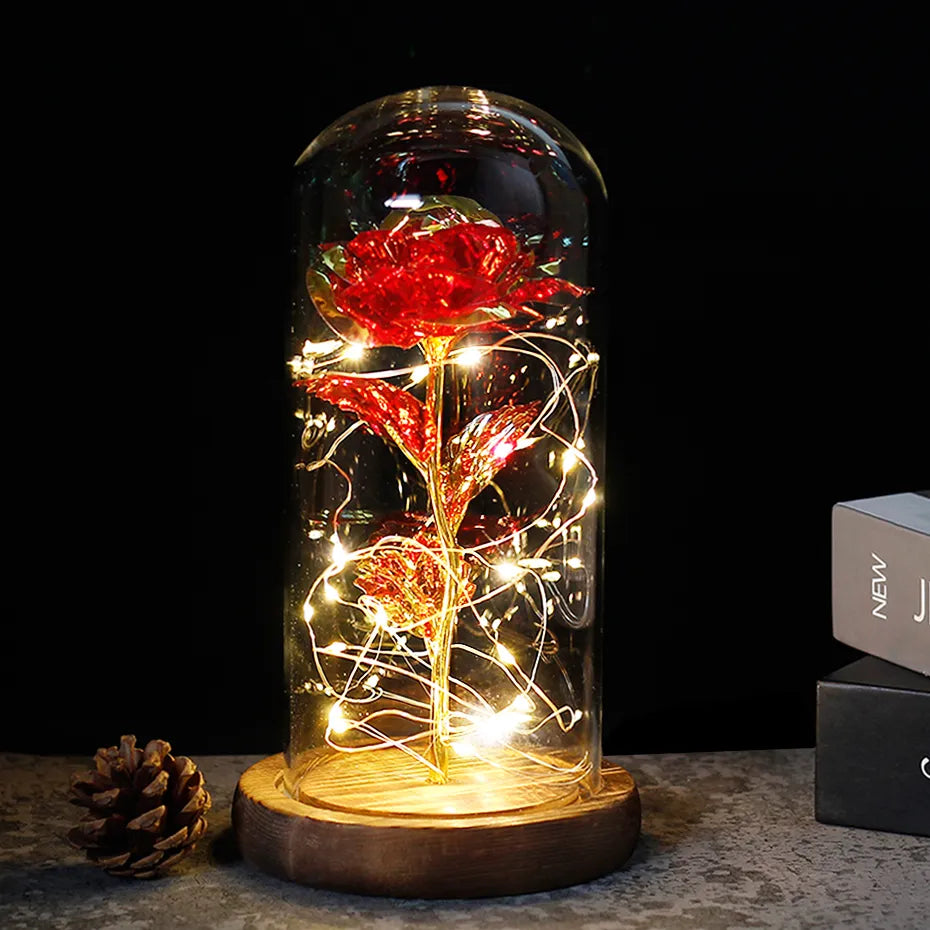 – Eternal Rose in Glass Dome with Atmospheric LED Lighting | Ka-mostore