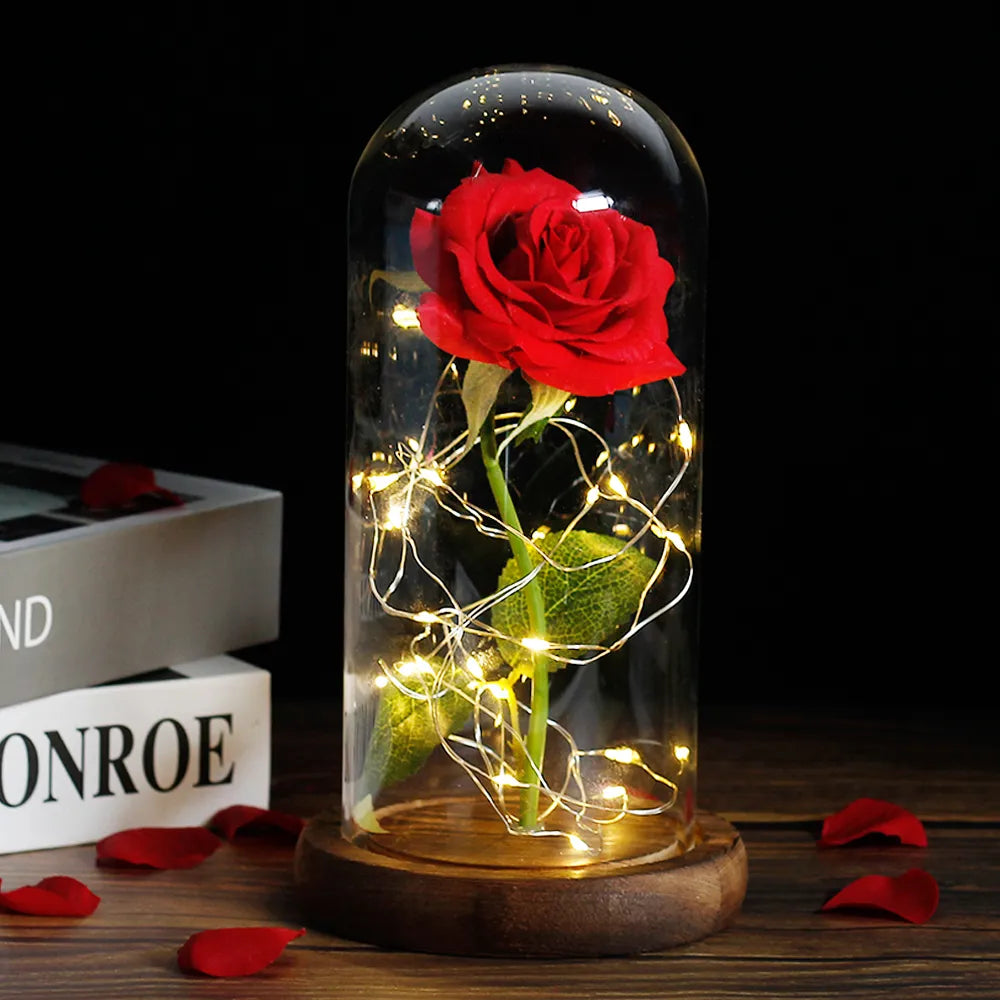– Eternal Rose in Glass Dome with Atmospheric LED Lighting | Ka-mostore