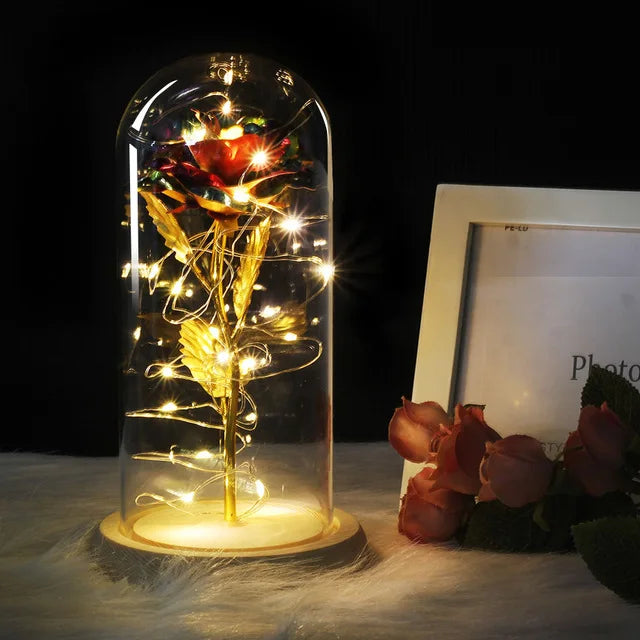 – Eternal Rose in Glass Dome with Atmospheric LED Lighting | Ka-mostore