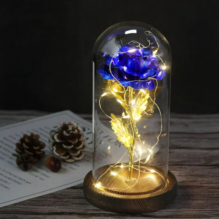 – Eternal Rose in Glass Dome with Atmospheric LED Lighting | Ka-mostore