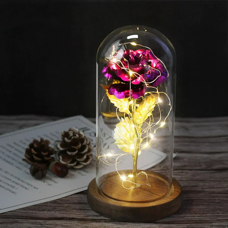 – Eternal Rose in Glass Dome with Atmospheric LED Lighting | Ka-mostore