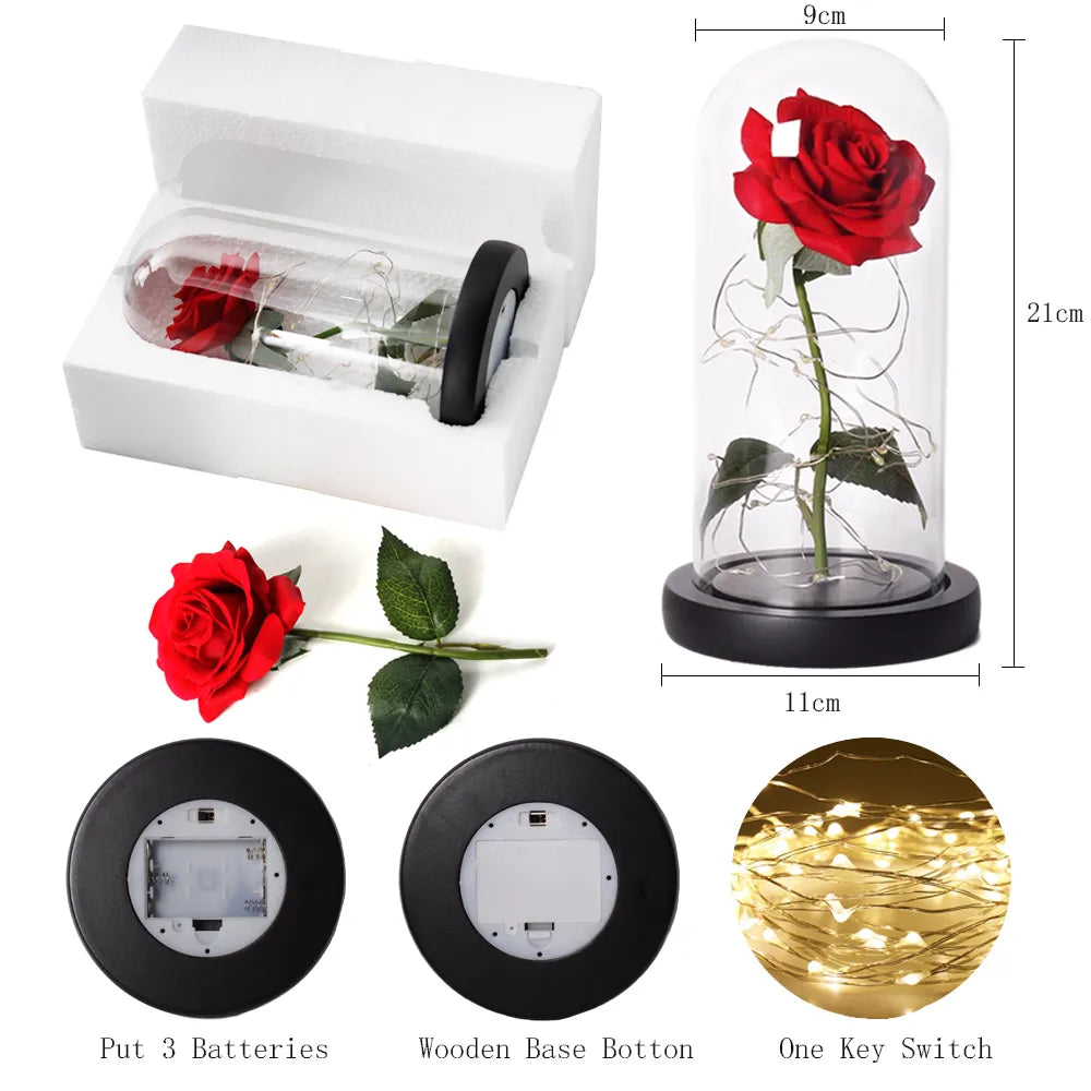 – Eternal Rose in Glass Dome with Atmospheric LED Lighting | Ka-mostore