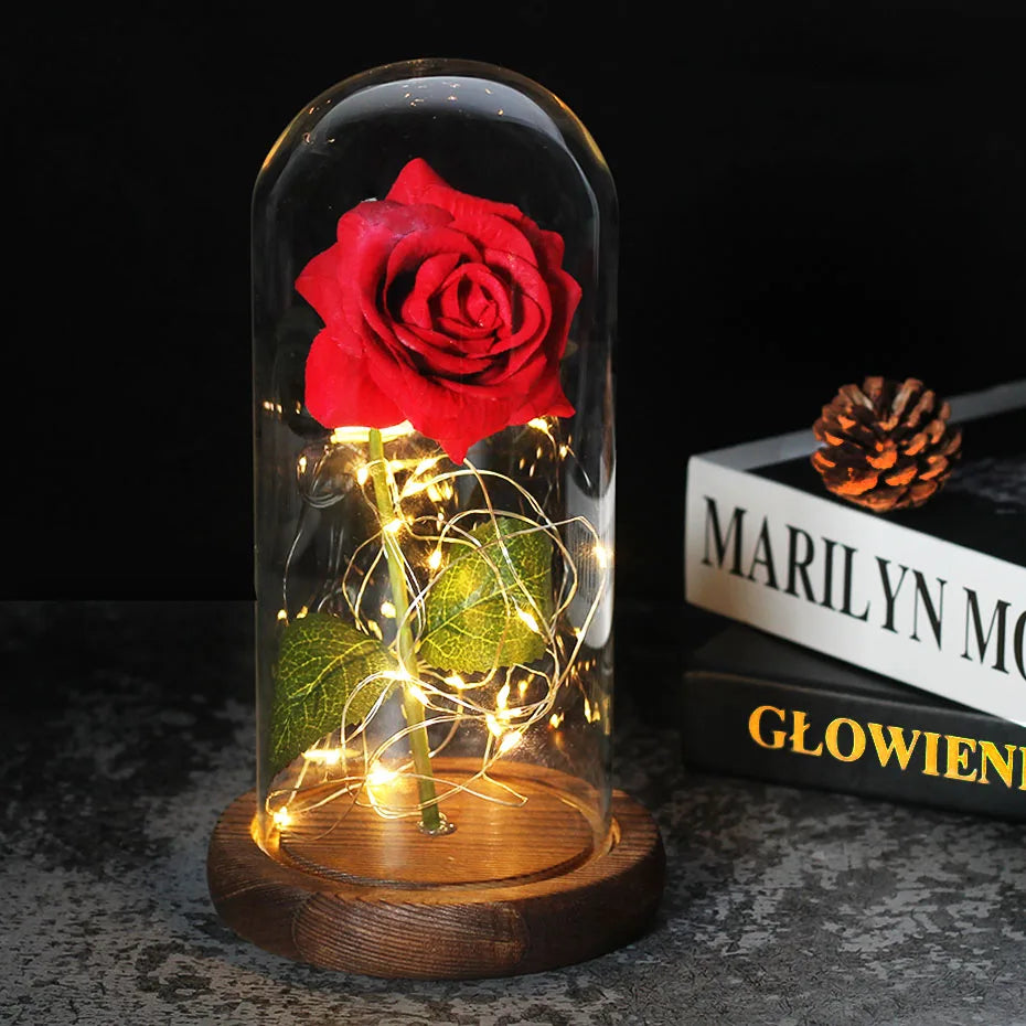 – Eternal Rose in Glass Dome with Atmospheric LED Lighting | Ka-mostore