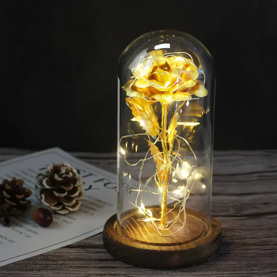 – Eternal Rose in Glass Dome with Atmospheric LED Lighting | Ka-mostore