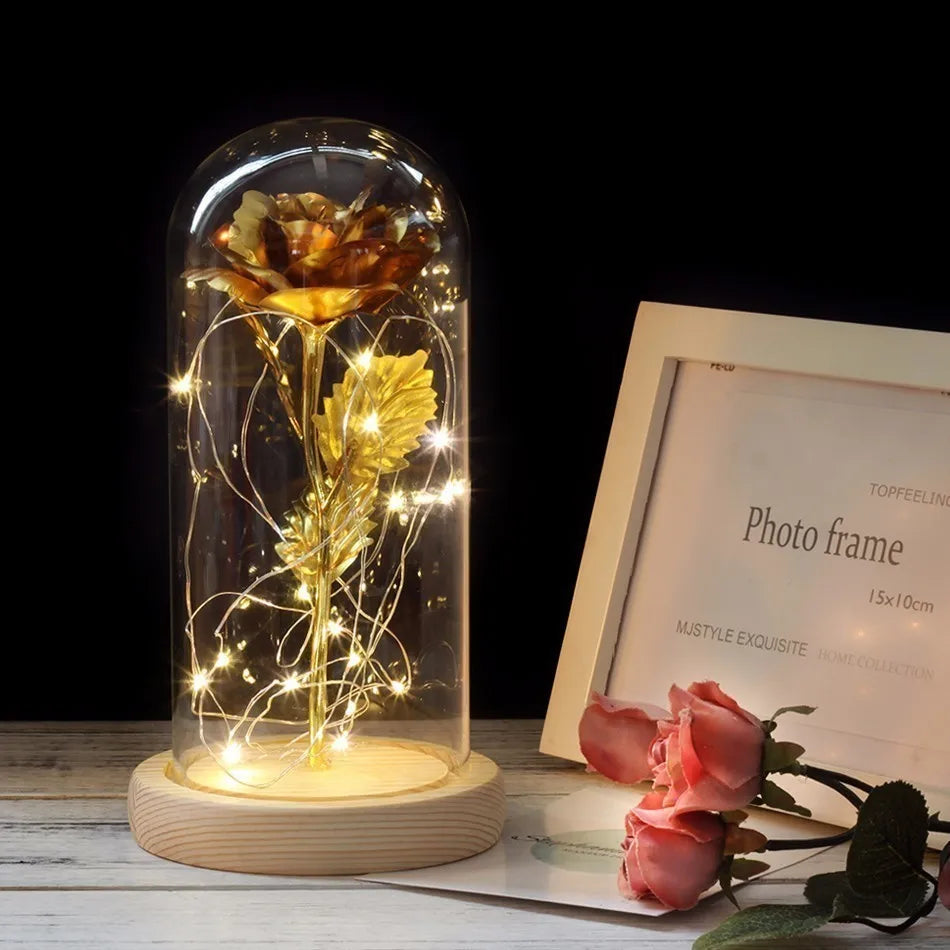 – Eternal Rose in Glass Dome with Atmospheric LED Lighting | Ka-mostore