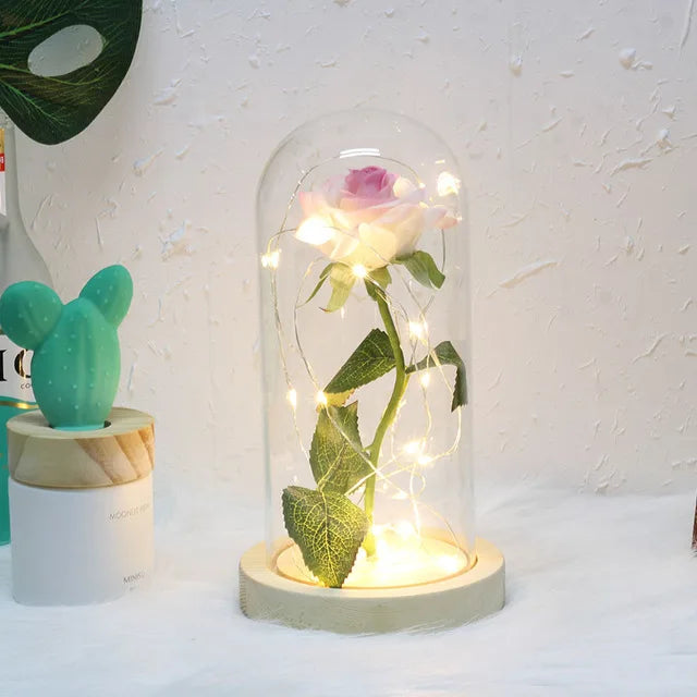 – Eternal Rose in Glass Dome with Atmospheric LED Lighting | Ka-mostore