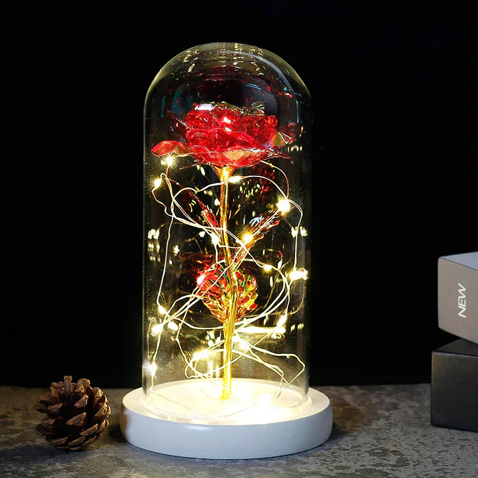 – Eternal Rose in Glass Dome with Atmospheric LED Lighting | Ka-mostore