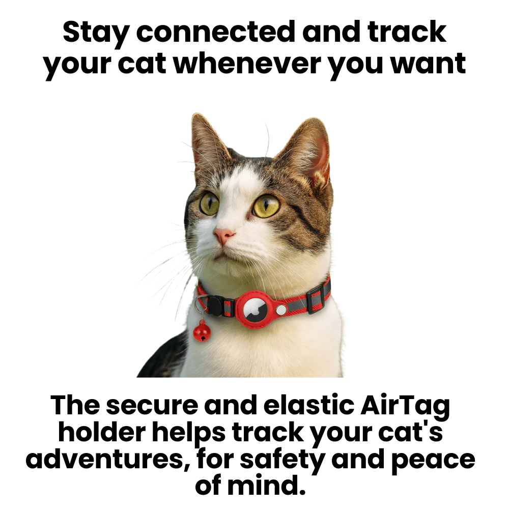 GPS Collar for Cats with Reflective Design | Ka-mostore