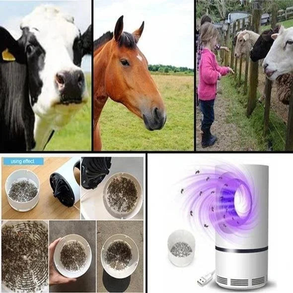 Insect Killer Lamp with UV Light | Ka-mostore