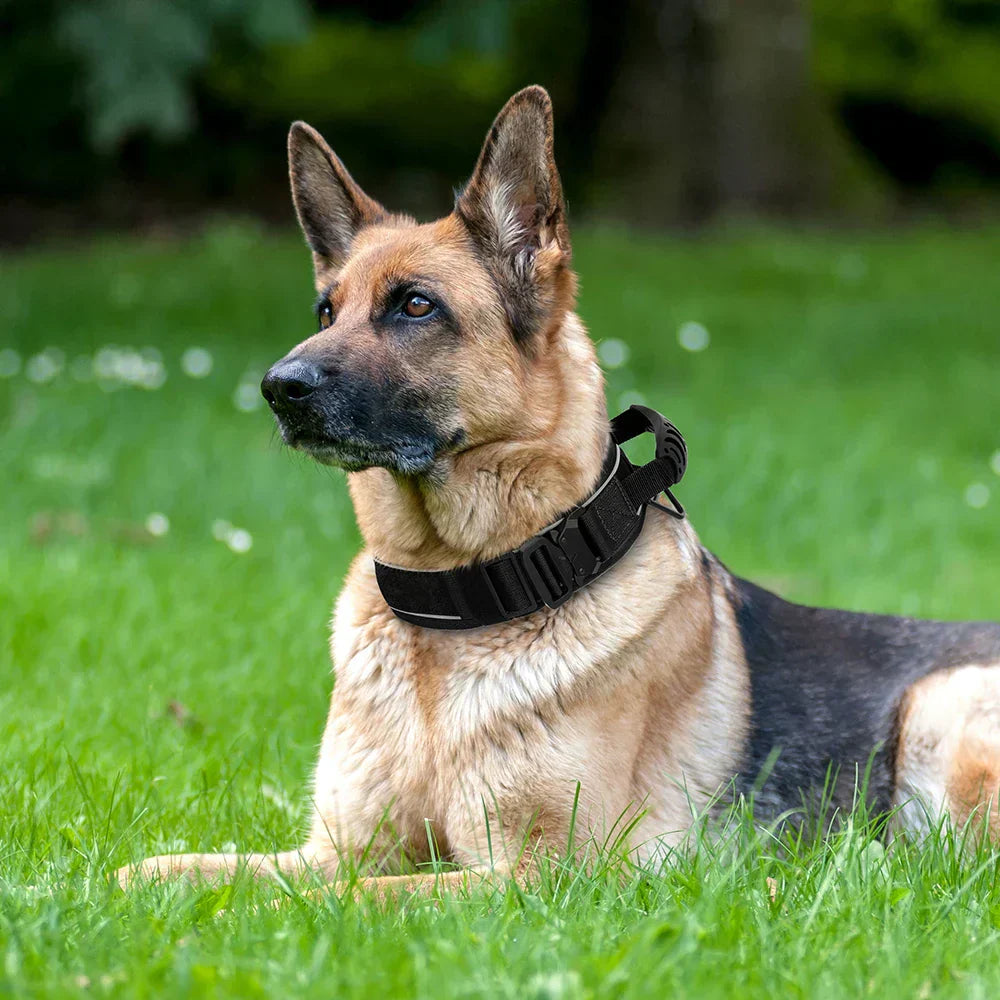 Military Dog Training Collar – Durable, Reflective Nylon Collar | Ka-mostore