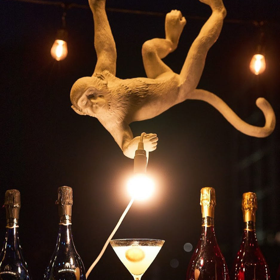 Monkey Pendant Light | Sculptural Design Object | Ka-mostore