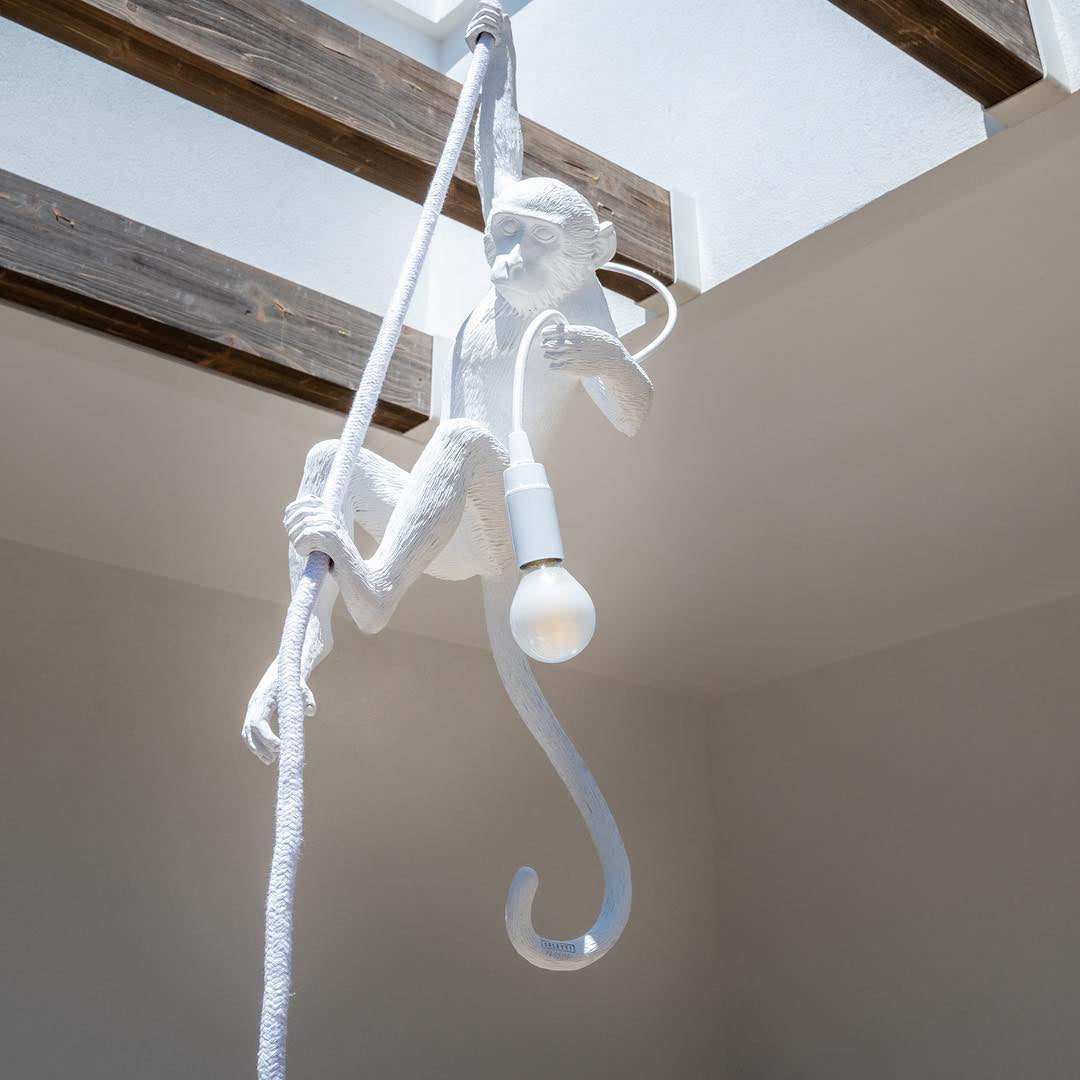 Monkey Pendant Light | Sculptural Design Object | Ka-mostore