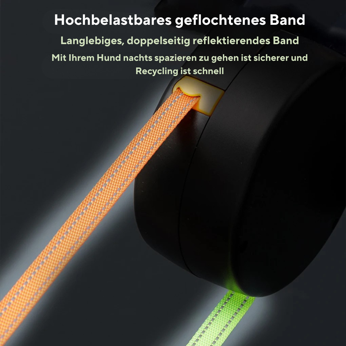 Never Tangle Again – Double Leash for Dogs with LED Light | Ka-mostore